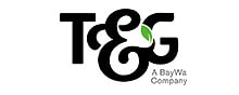 t&g global